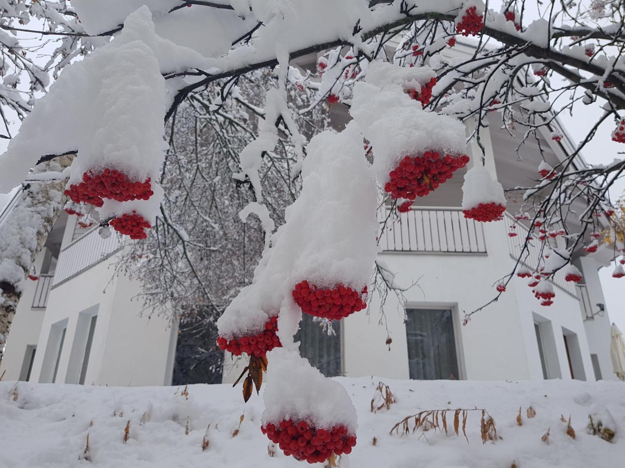 Apart Foresta Samnaun Dış mekan fotoğraf
