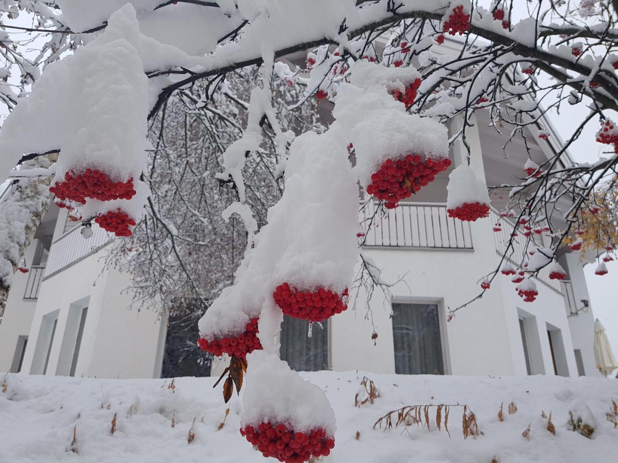 Apart Foresta Samnaun Dış mekan fotoğraf