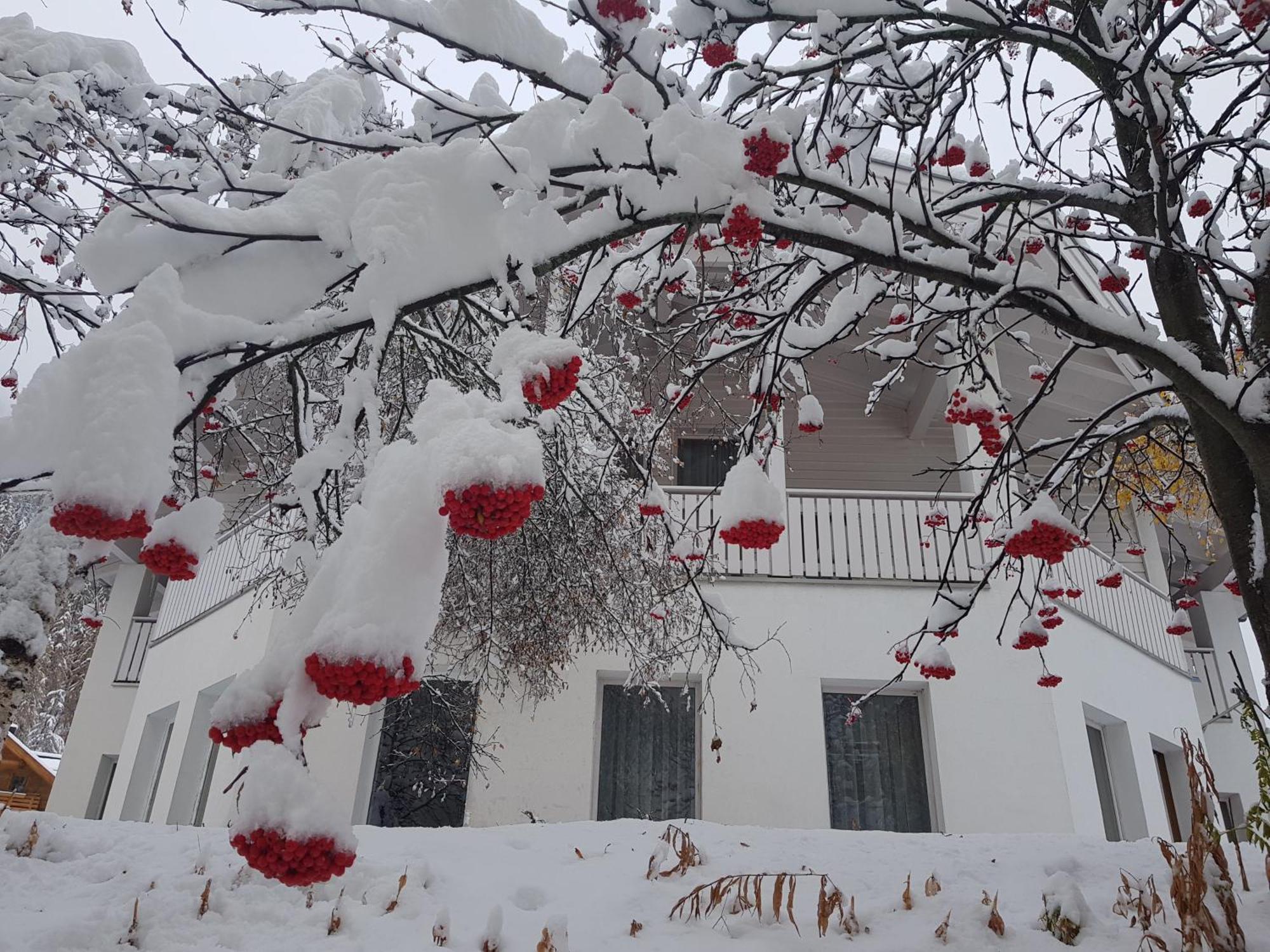 Apart Foresta Samnaun Dış mekan fotoğraf
