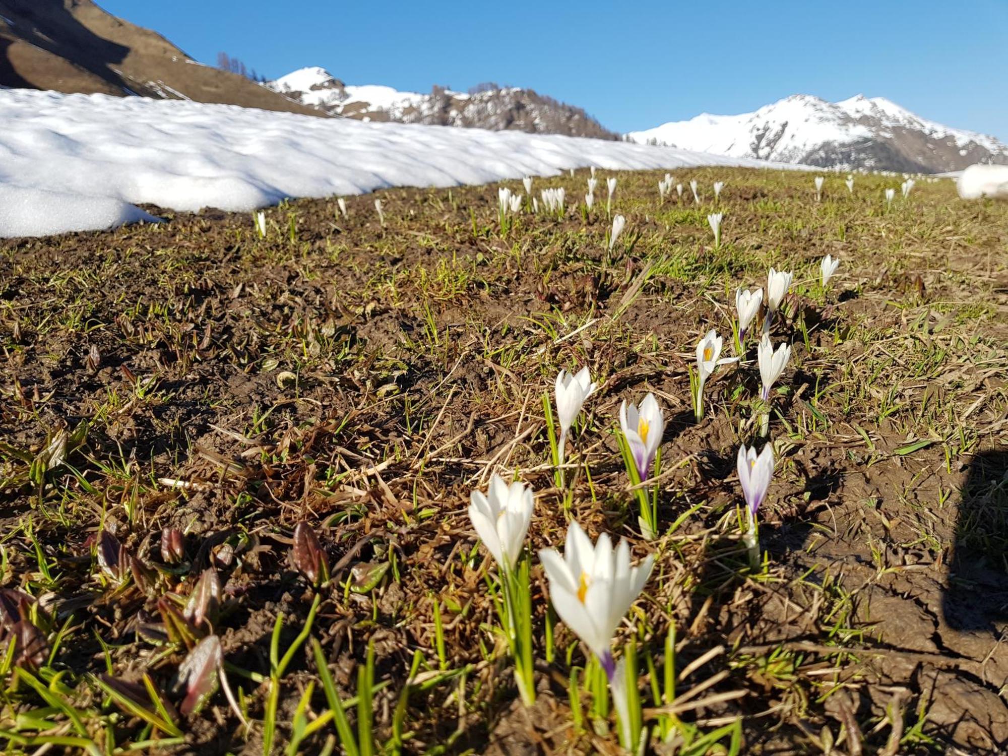 Apart Foresta Samnaun Dış mekan fotoğraf