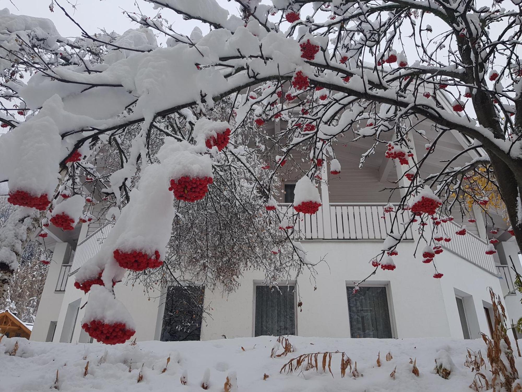 Apart Foresta Samnaun Dış mekan fotoğraf